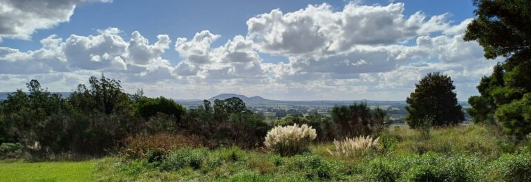CAMINATAS 2026 – LA BARROSA