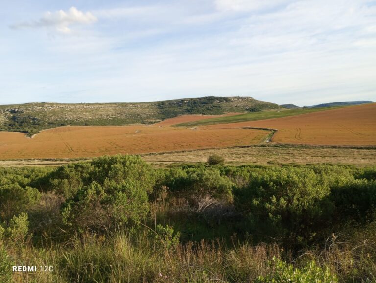 Caminata en Sierra Bachicha