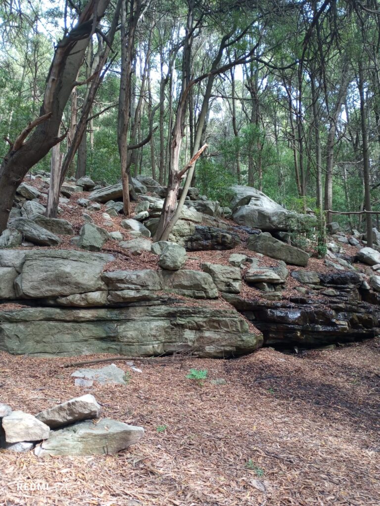 CAMINATAS EN ENTORNOS NATURALES | RINCON GRANDE | 2026