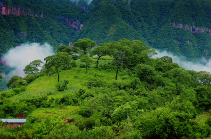 Viaje a las Yungas | Jujuy 2025