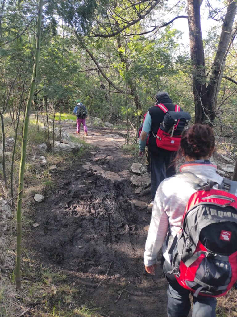 Caminatas en entornos naturales | PRÓXIMA SALIDA  Domingo 4 de Octubre