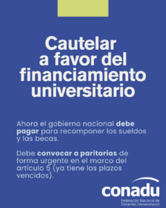 Cautelar a favor de la ley de Financiamiento Universitario