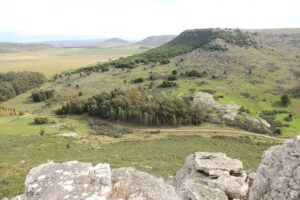 CENA – (Caminatas en Entornos NAturales) LOBERIA -LA LARGA 2026