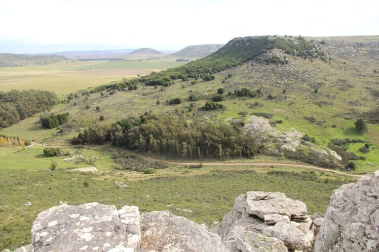 CENA – (Caminatas en Entornos NAturales) LOBERIA -LA LARGA 2026