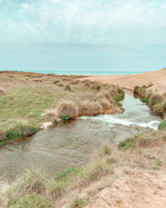 Caminatas en entornos naturales | Fin de semana de naturaleza: El Moro y Arenas Verdes