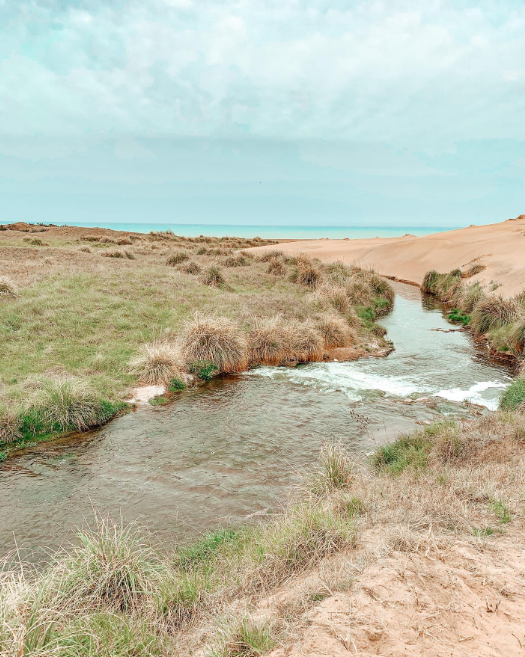 Caminatas en entornos naturales | Fin de semana de naturaleza: El Moro y Arenas Verdes